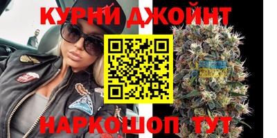 сатива Бузулук
