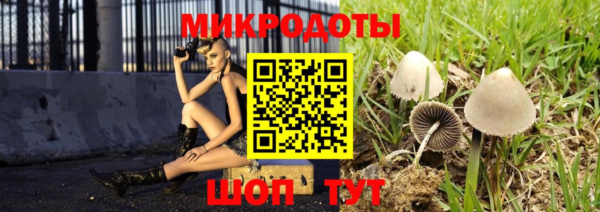 Псилоцибиновые грибы Psilocybine cubensis Озёрск