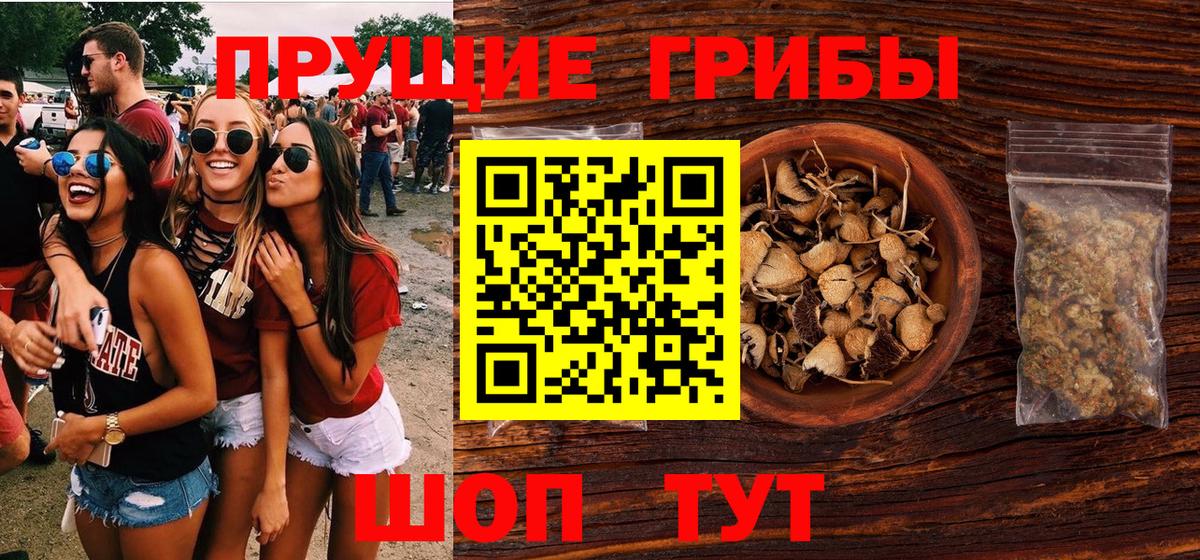 Псилоцибиновые грибы Psilocybine cubensis  Вход с VPN  Галлюциногенные грибы GOLDEN TEACHER  Озёрск 