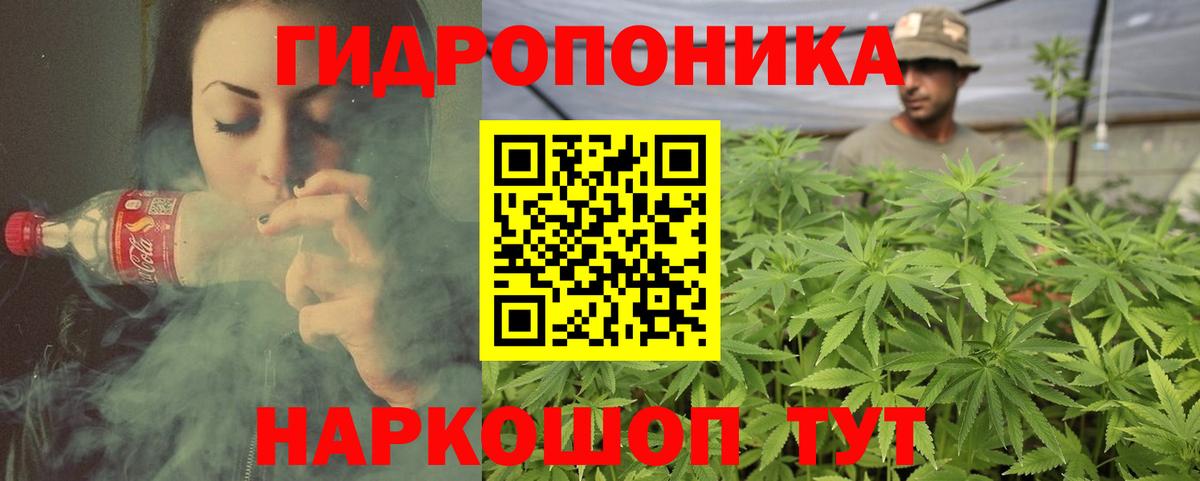 Шишки марихуана сатива Озёрск
